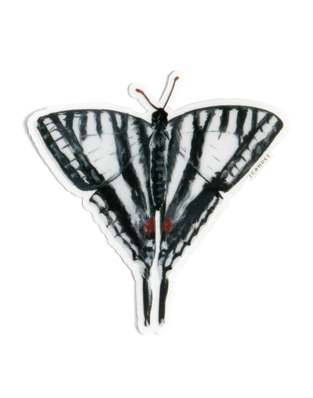 Zebra Swallowtail Butterfly Clear Decal Sticker, 1 of 4