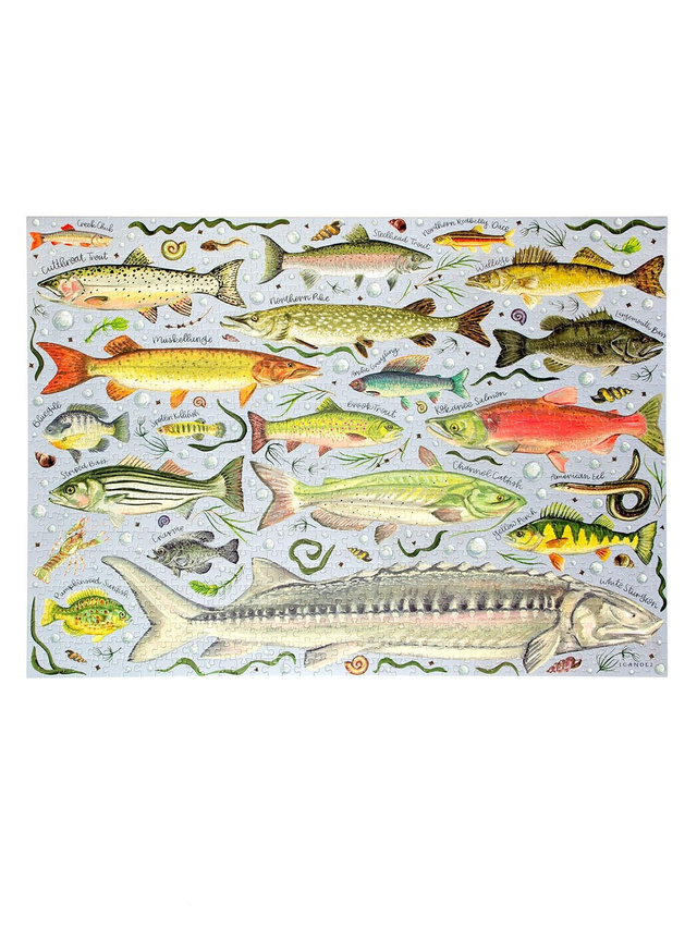 Freshwater Fish - 1,000 Piece Jigsaw Puzzle, 4 of 9
