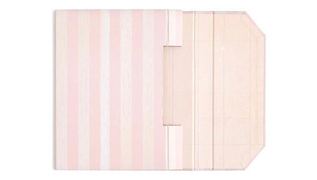 Foundations Folio - Pink Stripe, 2 of 9