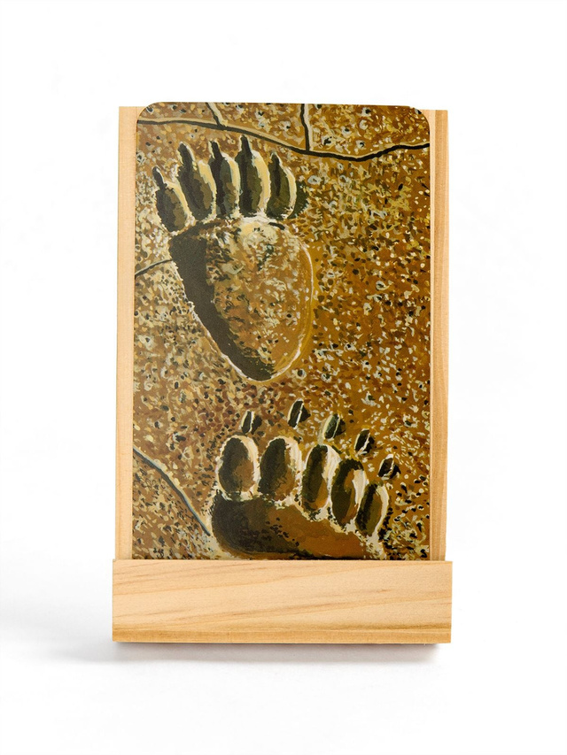 National Parks Inspiration Card Deck + Desktop Display Stand, 7 of 8