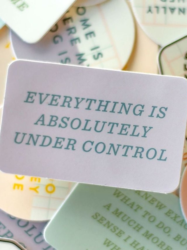 Everything Is Under Control Decal Sticker, 2 of 3