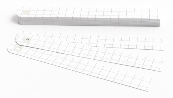 Slender Tag Booklet - Ledger, 2 of 2