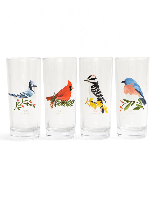 Feathered Friends Birds Tall Juice Glass Set, 2 of 2