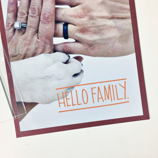 Hello Family, 2 of 2