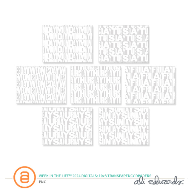 Week In The Life™ 2024 Digital 10×8 Transparency Dividers, 1 of 1