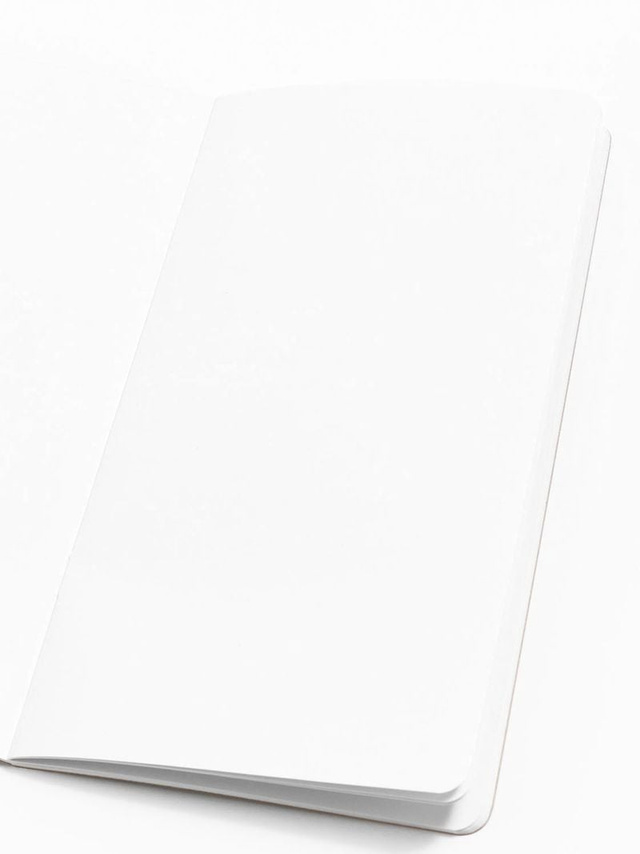 Kraft Traveler's Notebook, 2 of 4