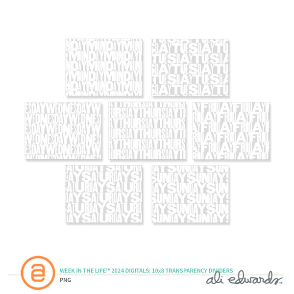 Week In The Life™ 2024 Digital 10×8 Transparency Dividers, 1 of 1