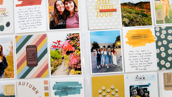 Stamp Set : 6×8 Common Ground by Goldenwood Co, 8 of 9