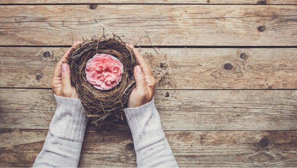 Empty Nest + New Stories, 1 of 8
