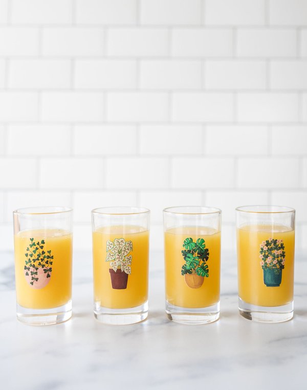 Houseplants 6oz Mini Juice Glass Set, 3 of 8