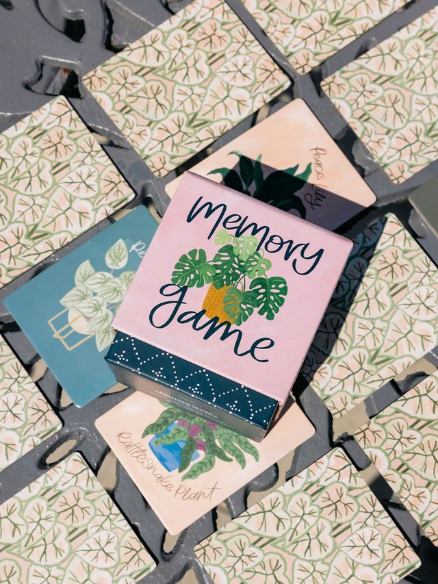 Houseplants Memory Game, 6 of 6