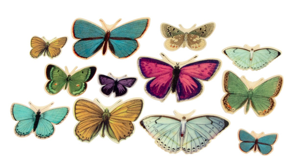Acetate Butterflies, 2 of 2