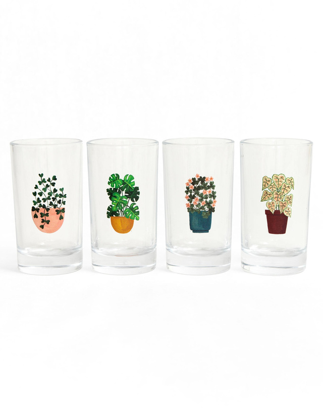 Houseplants Mini Juice Glass Set, 4 of 8