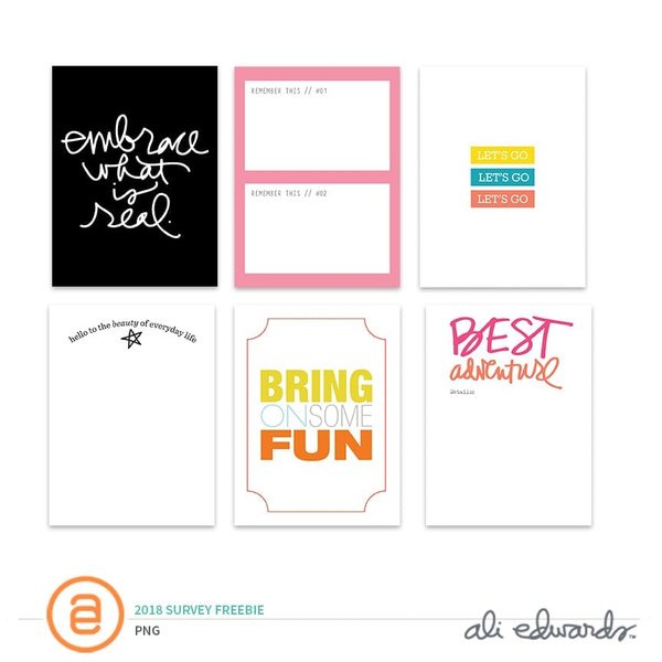 2018 Survey Freebie, 1 of 1