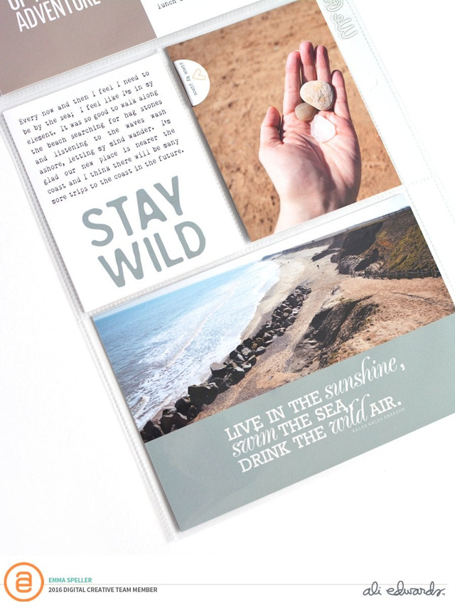 Stay Wild, 2 of 3