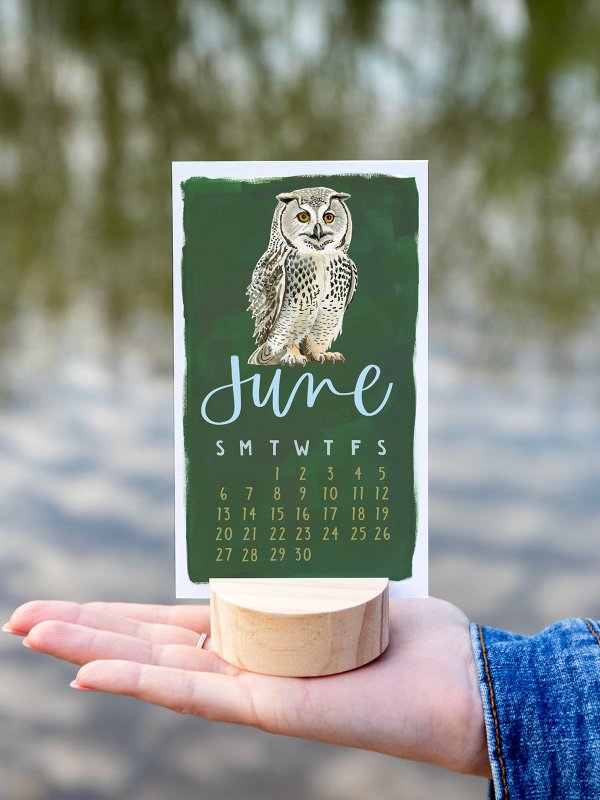 National Park Animals 2027 Mini Desk Calendar + Wooden Block, 7 of 10