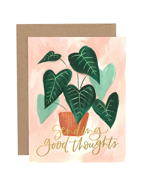 Greenhouse Specialty Greeting Card Box Set, 6 of 8