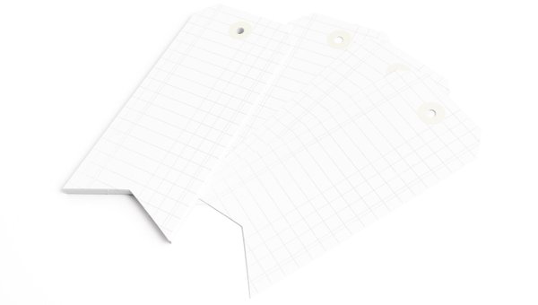 Jumbo Tag Booklet - Ledger , 2 of 3