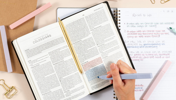 Pastel Highlighter Set, 5 of 6