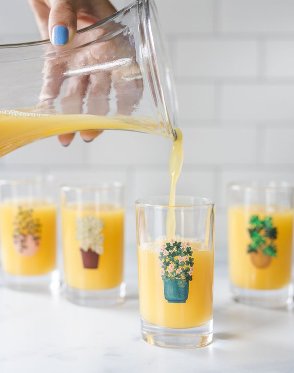 Houseplants 6oz Mini Juice Glass Set, 1 of 8