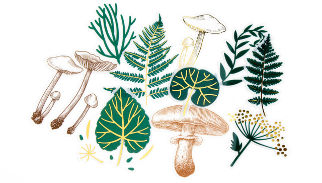 Story Kit™ Nature, 5 of 5