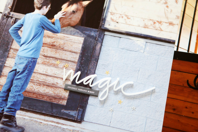 Horse Magic, 3 of 6