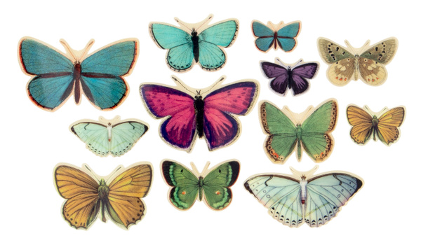 Acetate Butterflies, 1 of 2