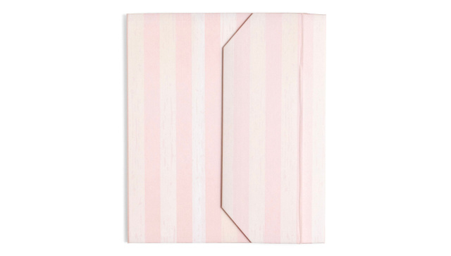 Foundations Folio - Pink Stripe, 1 of 9
