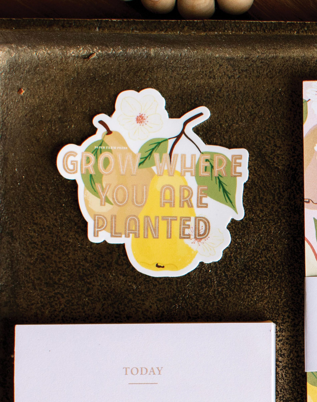 Grow Where You Are Planted Pear Decal Sticker, 2 of 2