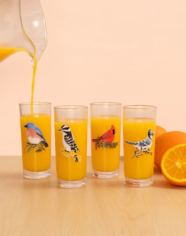 Feathered Friends Birds Tall Juice Glass Set, 1 of 2