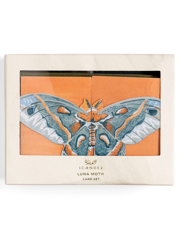 Luna Moths Fold-Out Greeting Card Box Set, 2 of 3