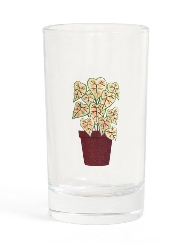 Houseplants 6oz Mini Juice Glass Set, 8 of 8
