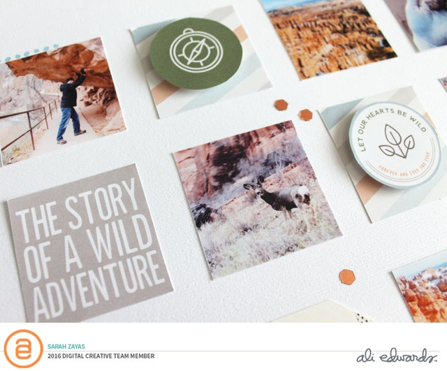 Wild Adventure, 3 of 3