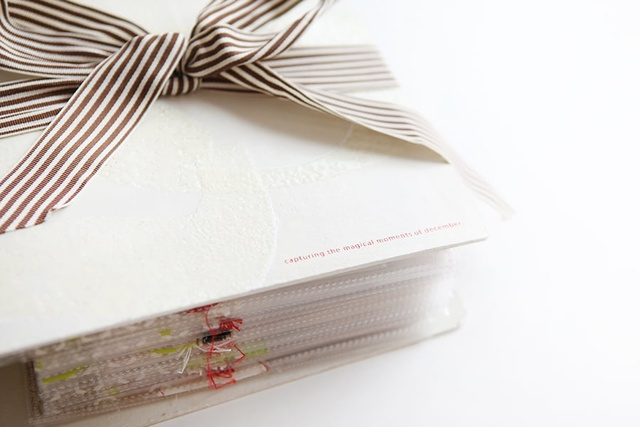 December Daily® 2011, 1 of 7