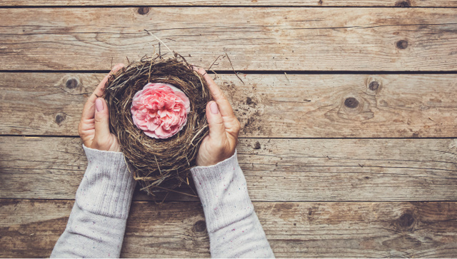 Empty Nest + New Stories, 1 of 8