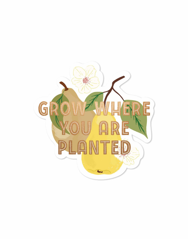 Grow Where You Are Planted Pear Decal Sticker, 1 of 2