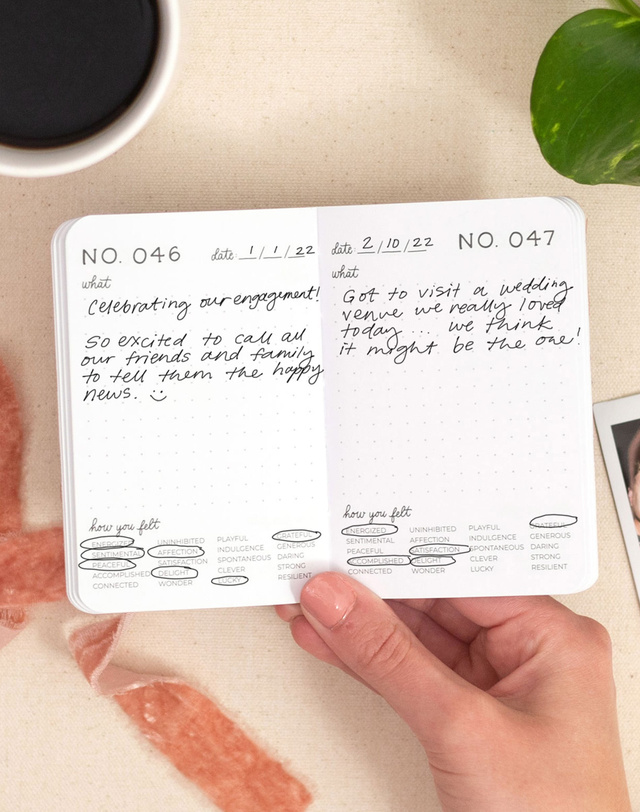 One Hundred Joys Journal, 2 of 6