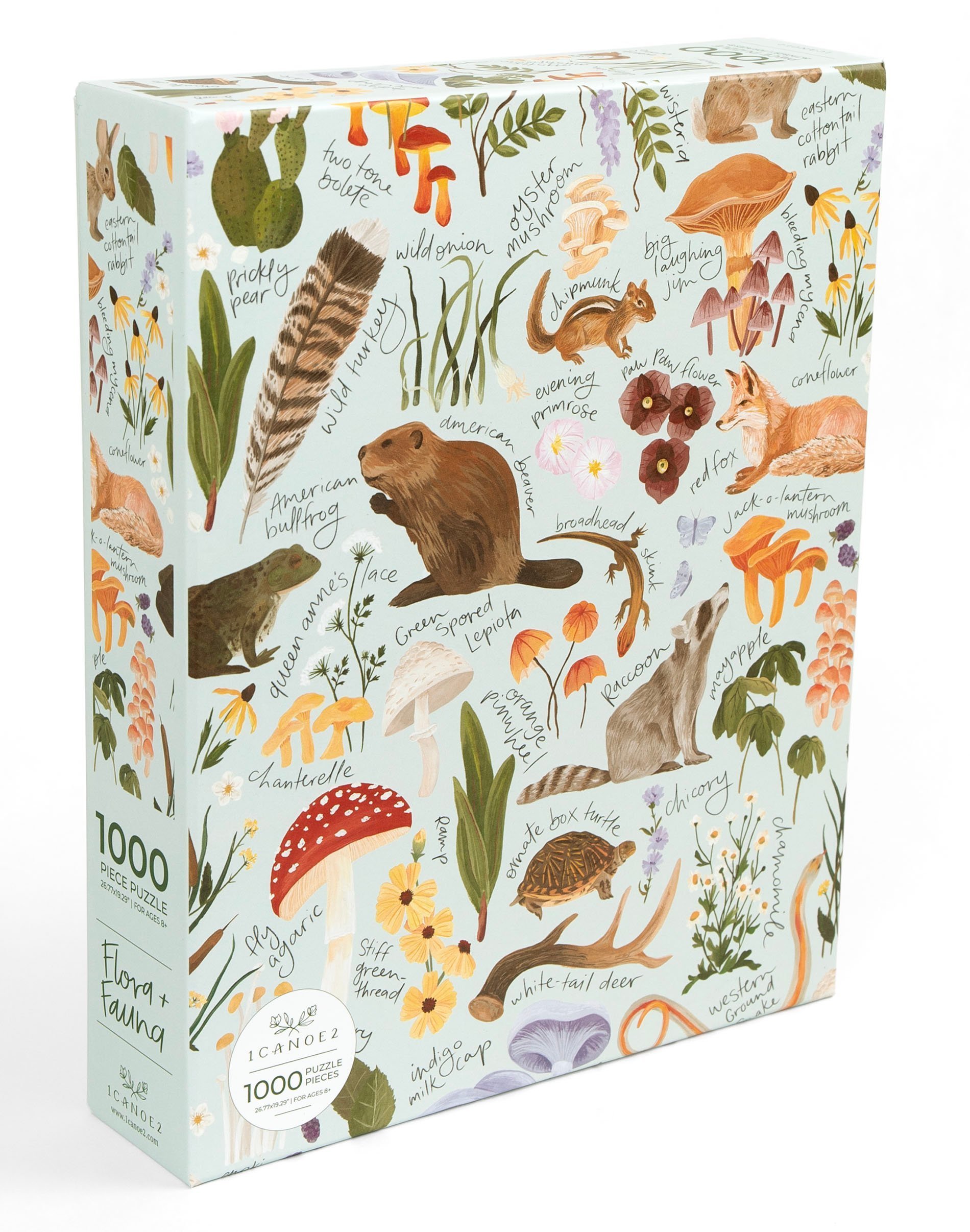 Puzzle of illustrations of fauna and flora