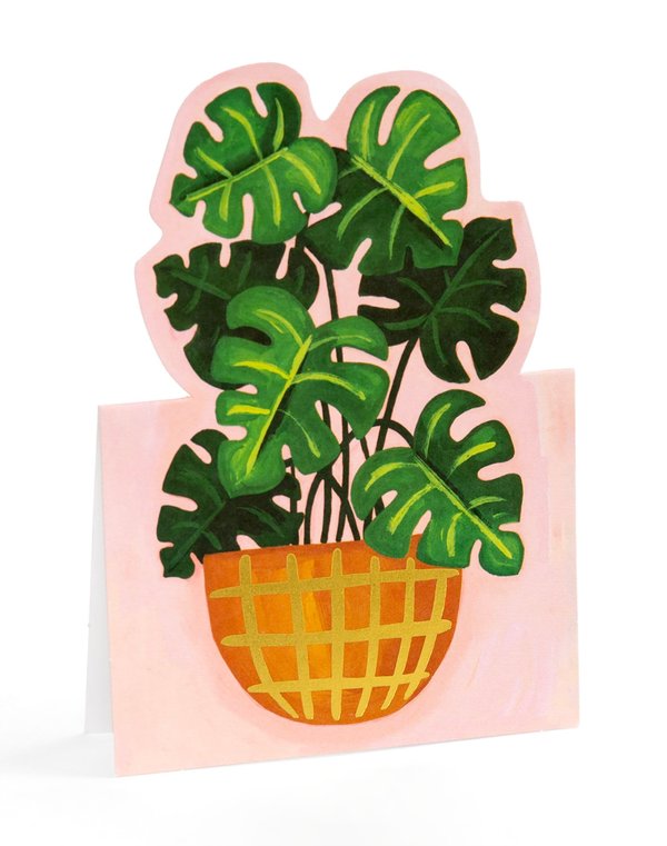 Potted Plants Pop-Up Greeting Card Box Set, 4 of 7