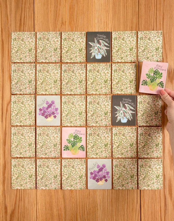 Houseplants Memory Game, 4 of 4