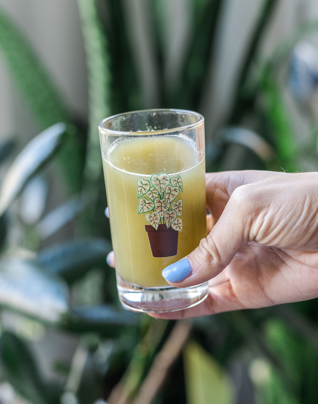 Marie Moir Plant Mini Juice Glass, 1 of 2