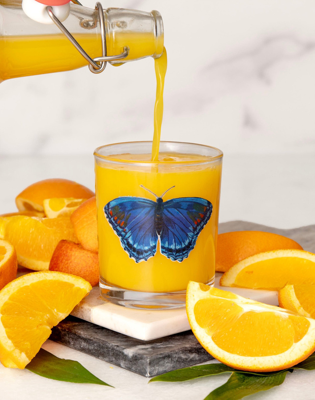 Red Spotted Purple Butterfly Short Juice Glass, 1 of 4