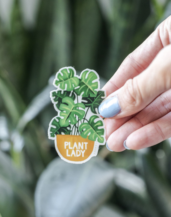 Plant Lady Clear Decal Sticker, 2 of 5