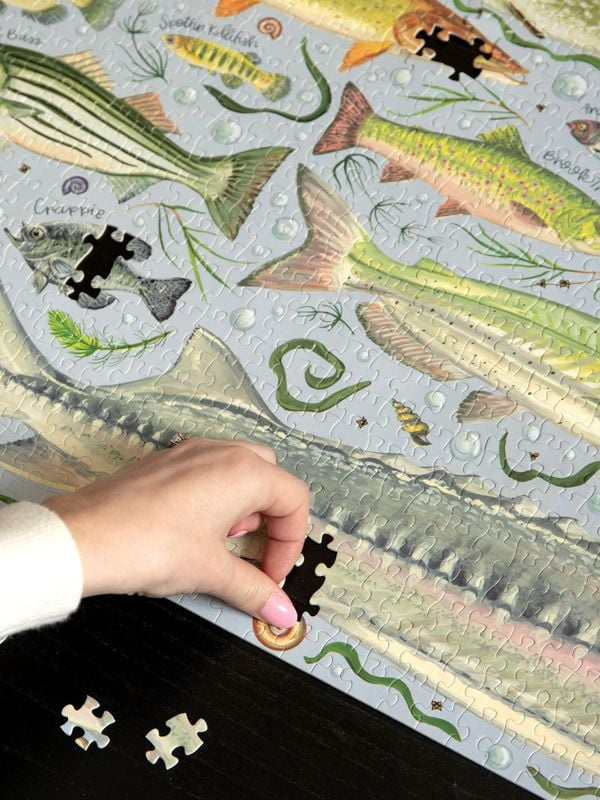 Freshwater Fish - 1,000 Piece Jigsaw Puzzle, 6 of 9