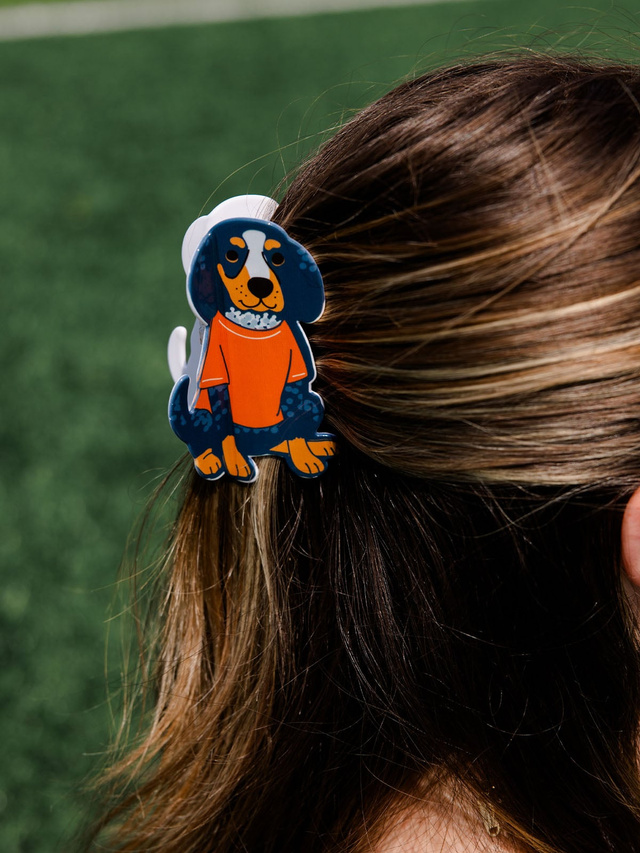 Knoxville Football Game Day Claw Hair Clip, 1 of 6
