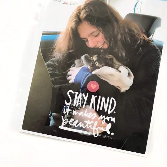 Stay Kind, 3 of 3