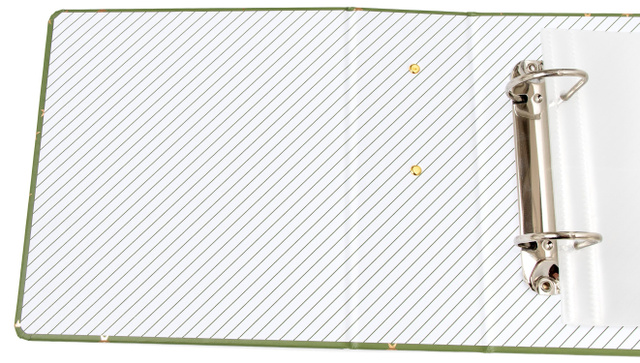 Green Stars 4×6 Album, 3 of 4