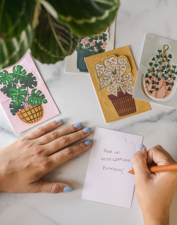 Potted Plants Pop-Up Greeting Card Box Set, 2 of 7