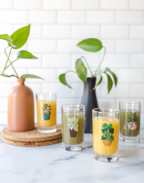 Houseplants Mini Juice Glass Set, 2 of 8