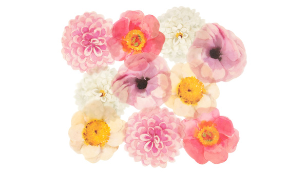 One Little Word® 2026 Vellum Flower Die Cut Pack, 1 of 4